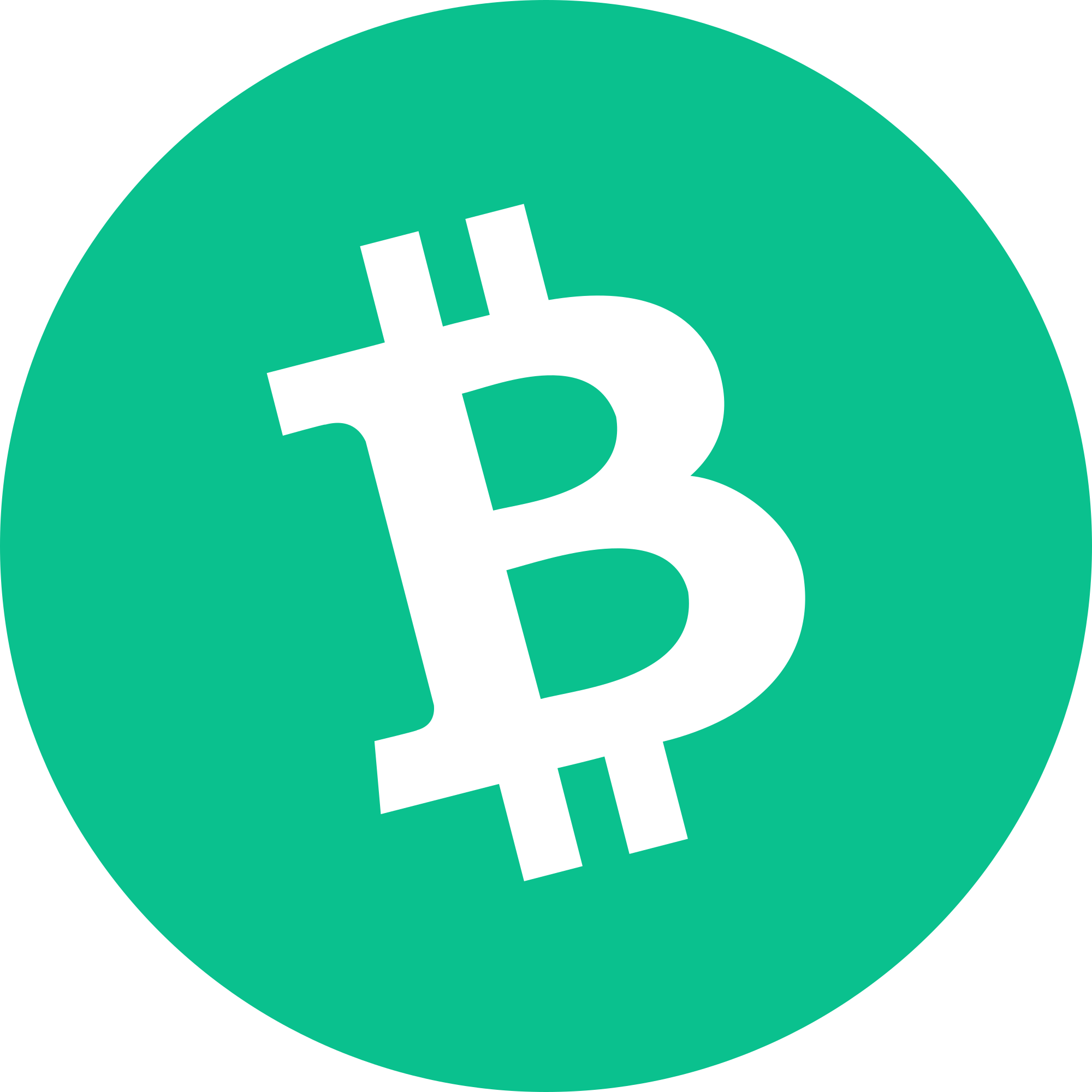 Bitcoin Cash (BCH) logo