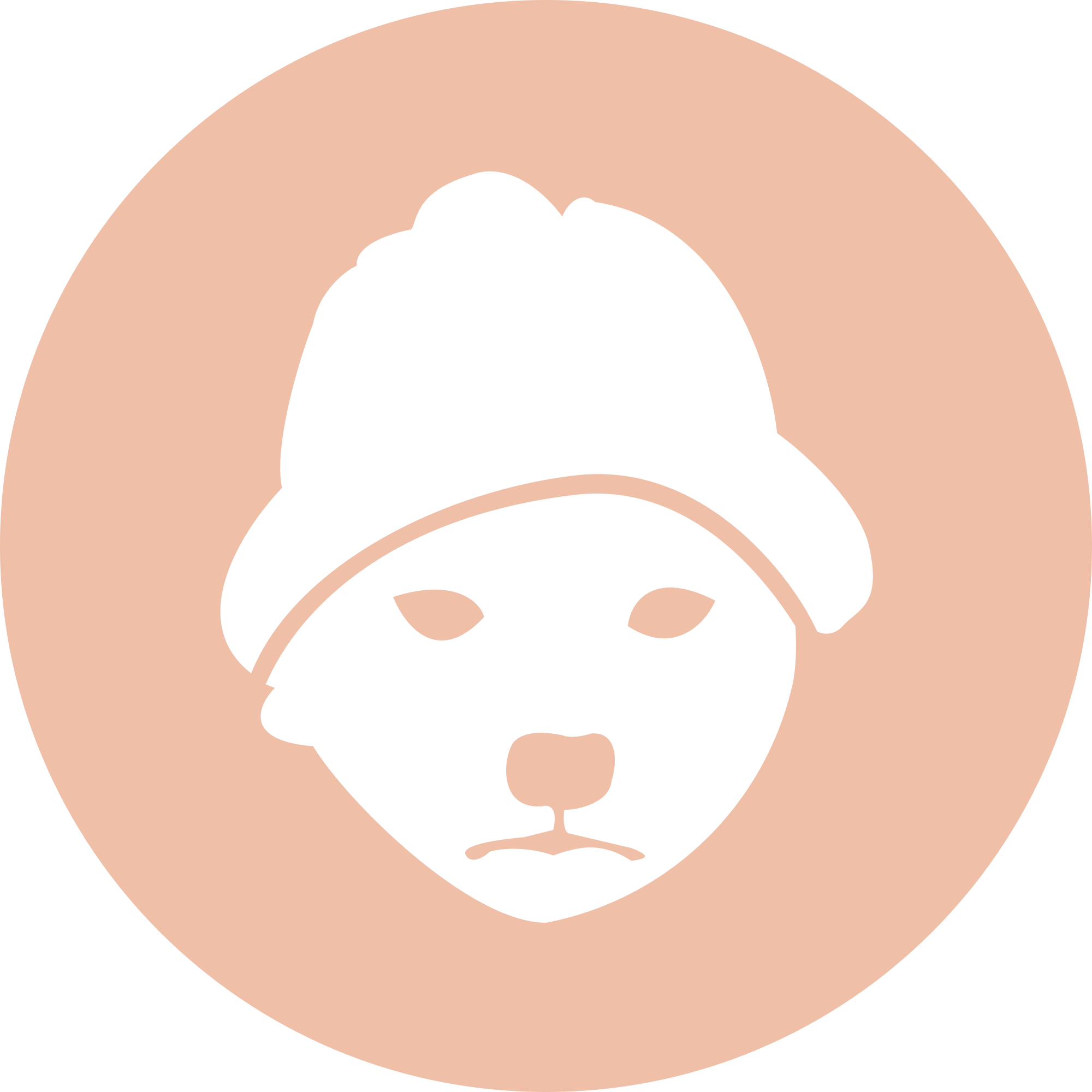 dogwifhat (WIF) logo