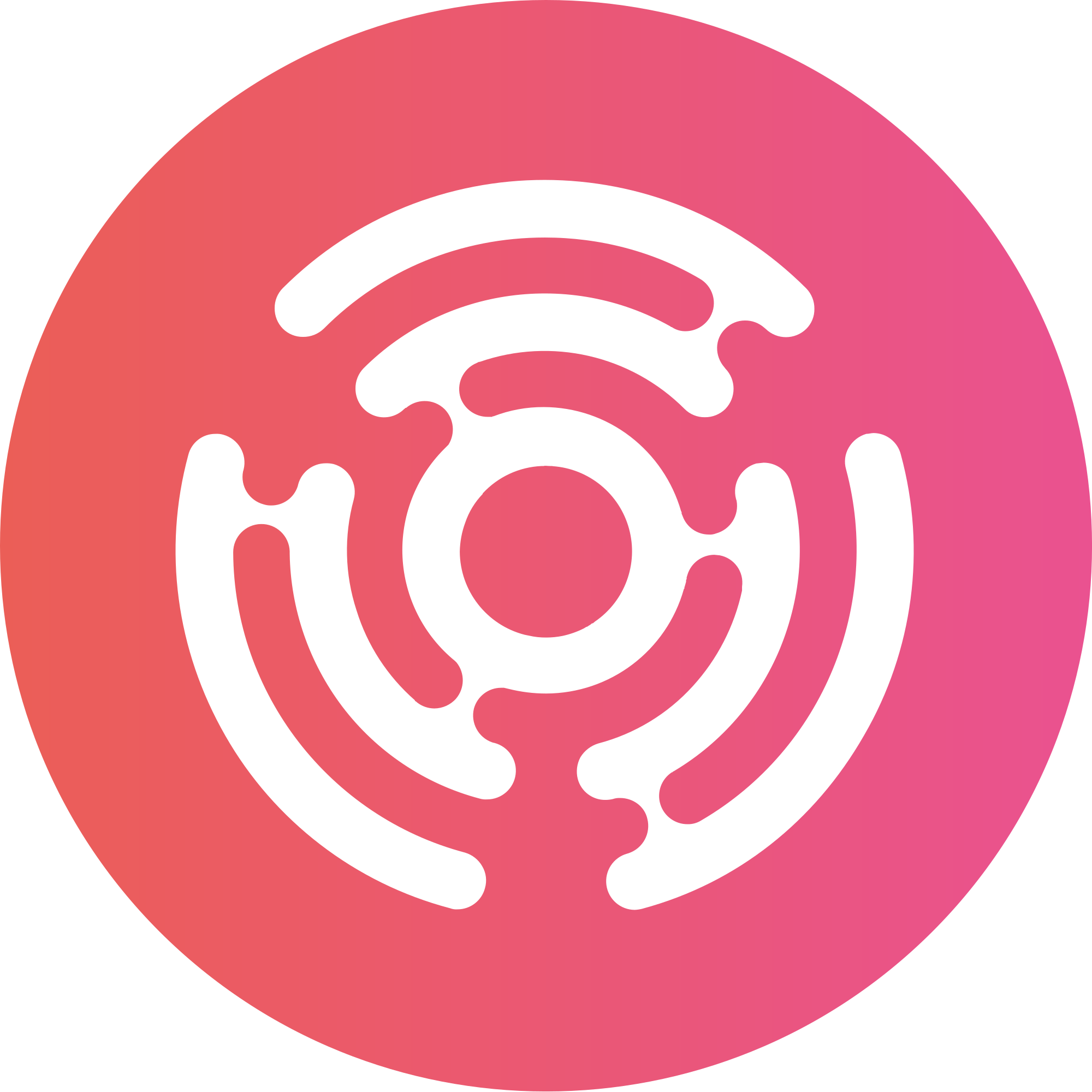 DomRaider (DRT) logo