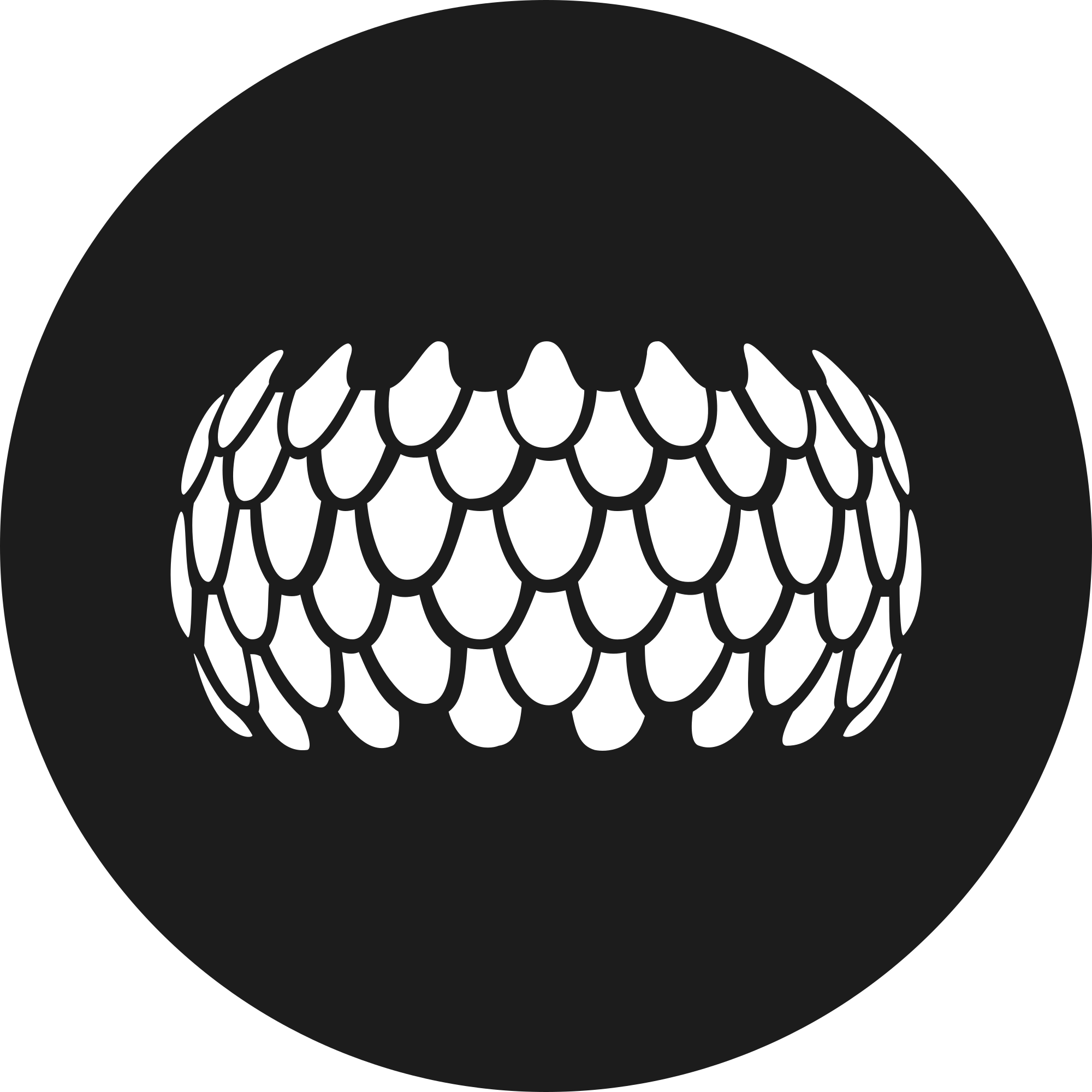 SIRIN LABS Token (SRN) logo