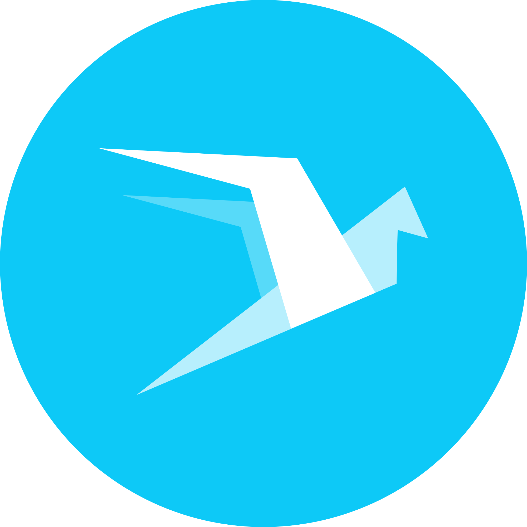 Wings (WINGS) logo